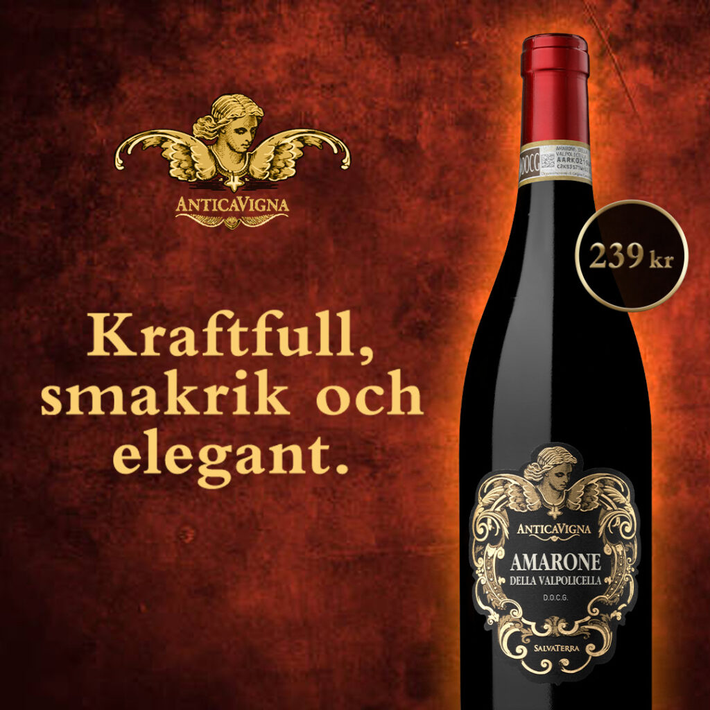 Antica Vigna Amarone